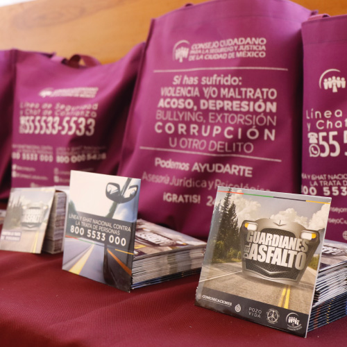 Guardianes del Asfalto